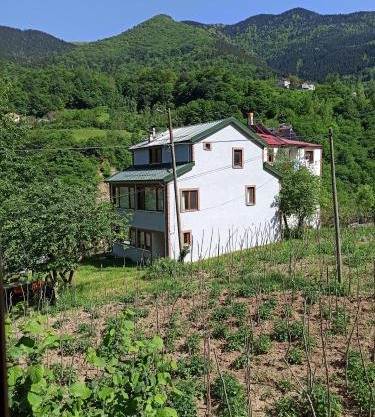 Hamsiköy Vadi Konaklama
