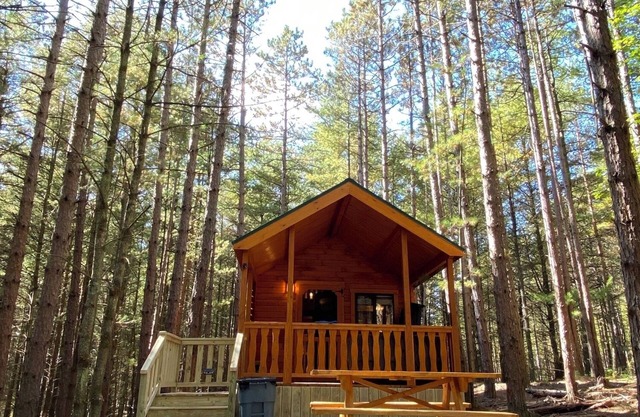 Happy Bear Log Cabin near Cook Forest State Park