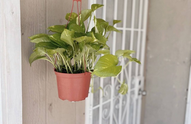 Happy Cozy house, private