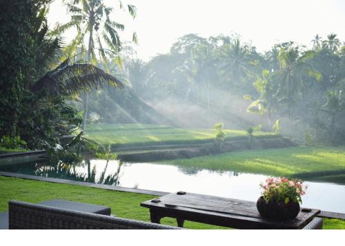 Hatiku Di Bali - Ubud