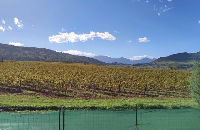 Havre de Paix aux Pays Cathares