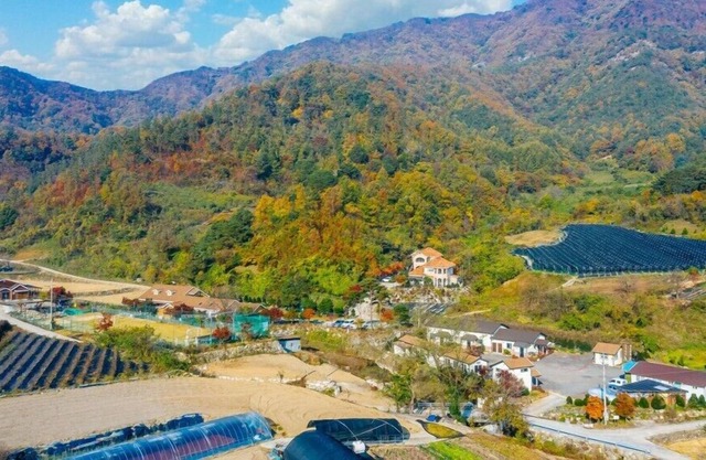 Healing Resort Maple Village hue