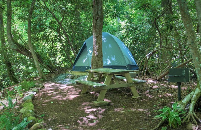 Heartstone Tent and Campsite