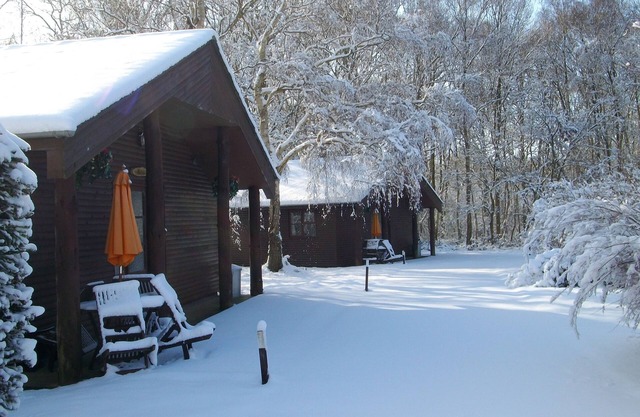 Heated Indoor Swimming Pool, beautiful 2 bed lodge set in woodland.