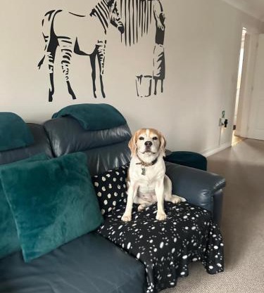 Hereford - Finch House - Modern 4 Bedroom House Located in South Hereford, Dog Friendly With Nearby Countryside, Pool Table, Sleeps up to 10 Guests - Hosted by RENTMYHOUSE