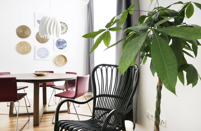 Hide in Berlin in Prenzlauer Berg Berlin