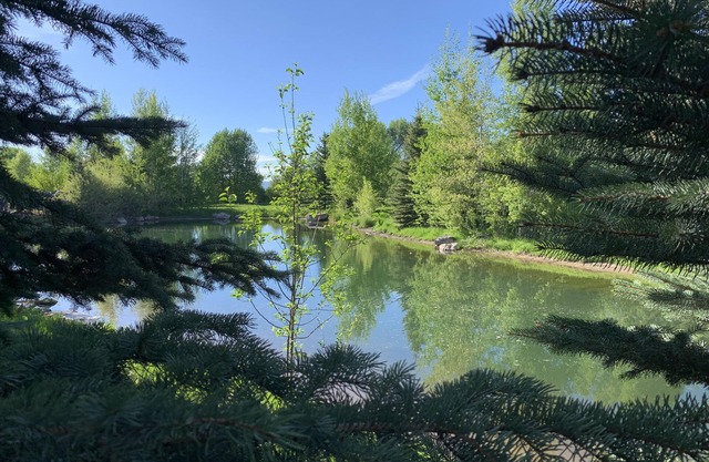 Hiking, Fishing, Biking, Skiing all within the valley 30 min from Jackson Hole