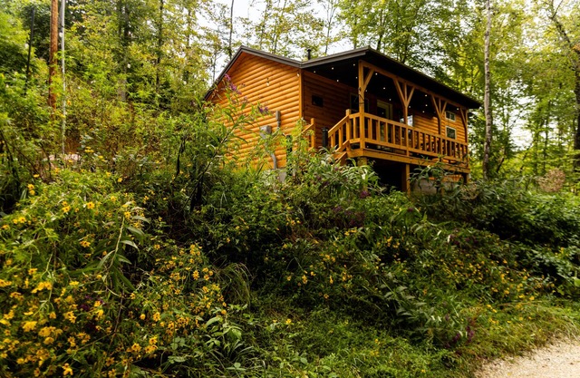 Hill Haven - Secluded RRG Cabin + Hot Tub