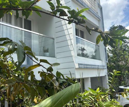 Hills villa