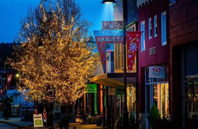 Historic Downtown Oak Harbor Beach getaway#1