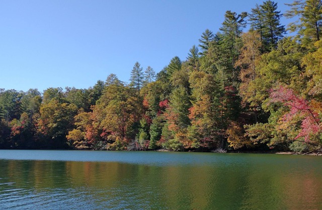 Historic Log Cabin: Lake Front, Dock, Canoes, Private, Stylish
