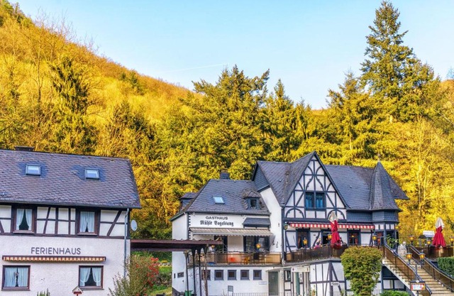 Historische Mühle Vogelsang