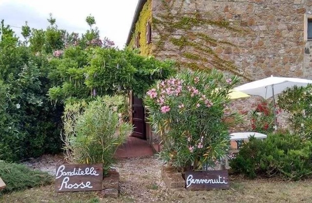 Holiday apartment Castellina Marittima for 1 - 6 persons with 1 bedroom - Twin house