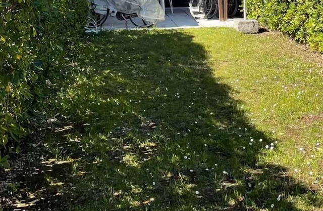 Holiday apartment With private garden