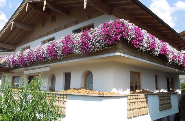 Holiday apartment with Interntet access