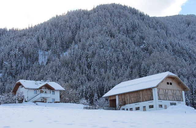 Holiday apartment Sankt Lorenzen (San Lorenzo di Sebato) for 1 - 4 persons with 1 bedroom - Holiday