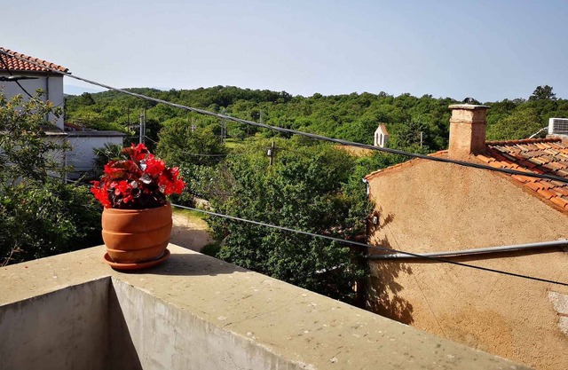 Holiday apartment Viktor Filozici's apartment