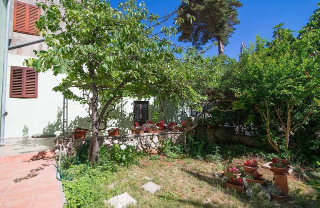 Holiday apartment with terrace and air conditioning