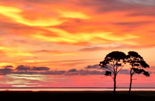 Holiday Discount 100-Acre Private WATERFRONT Home-NatureLovers Paradise & Views