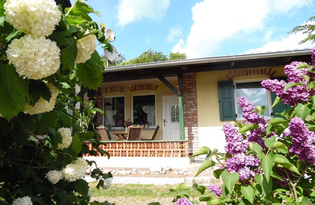 Holiday house, 300 m to the beach, close to the forest