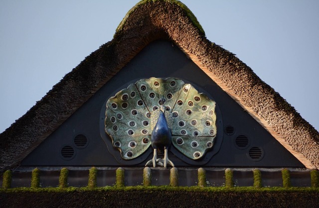 Holiday home de Trotse Pauw