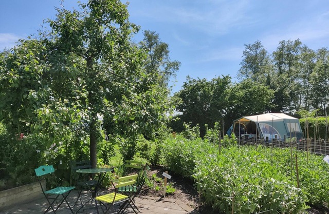 Holiday Home in Friesland With Greenhouse Charm