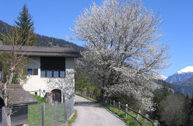 Holiday home Staudenhof, close to nature and idyllic