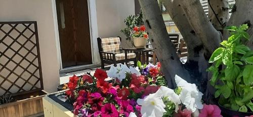 Holiday House NELLINA