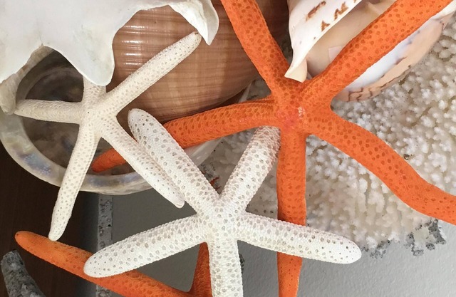 Holiday’s 🎄@ Starfish Cottage. Steps to Ocean. 🌊⛱️RELAX & ENJOY the beach.😎