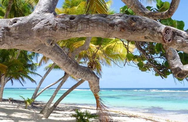 Homerez - Apartement for 2 ppl. with sea view at Capesterre-de-Marie-Galante