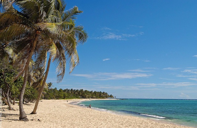 Homerez - Studio, Capesterre-de-Marie-Galante