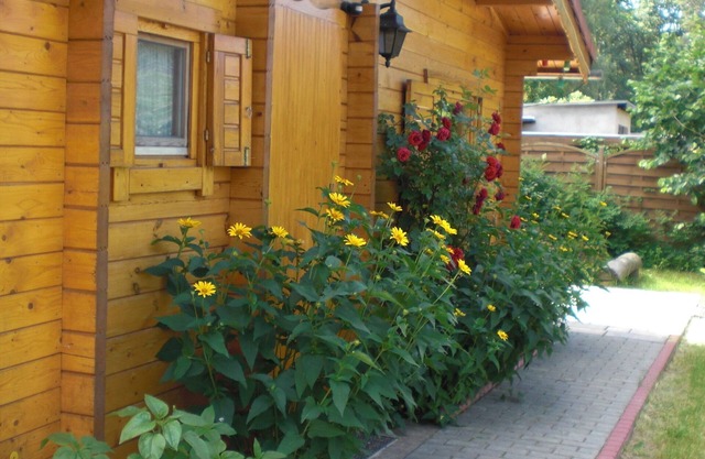 Home BerlinNah romantic log cabin