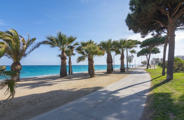 HomeHolidaysRentals Margot - Costa Barcelona