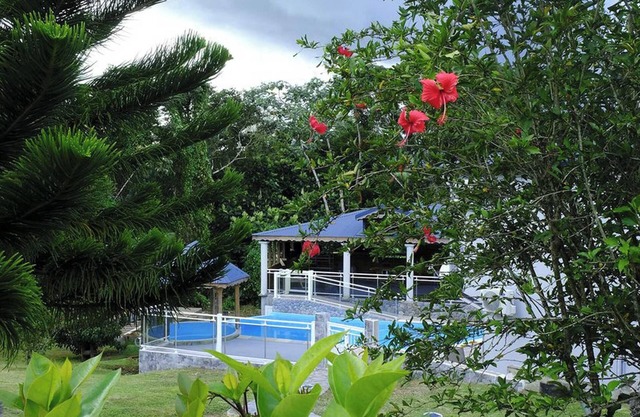 Homerez - Apartment in Lamentin, pool.