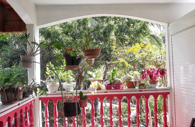 Homerez - Bright apt., Les Abymes