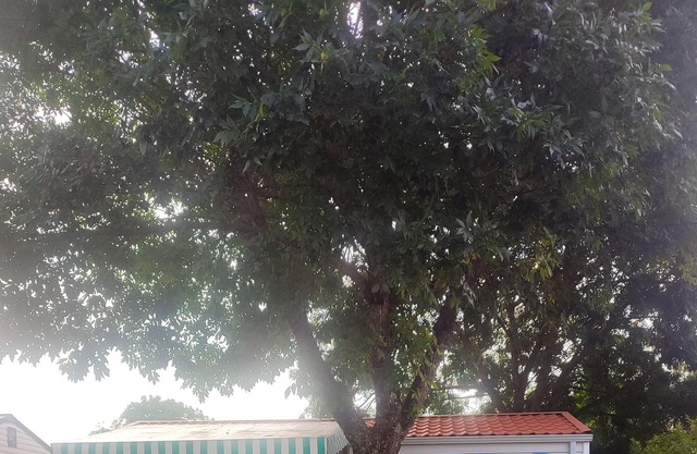 Homerez - Bungalow 10 km away from the beach for 4 ppl. with terrace at Saujon