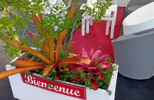 Homerez - Bungalow in Sainte-Rose