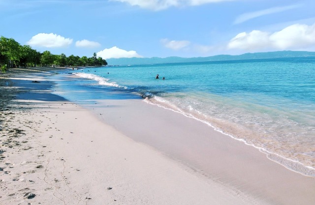 Homerez - Charming house in Petit-Canal with pool and garden.