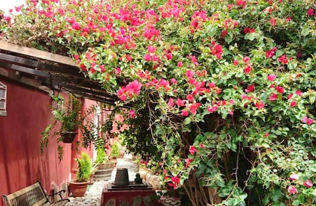 Homerez - House 12 km away from the beach for 4 ppl. with garden at La Sabinita