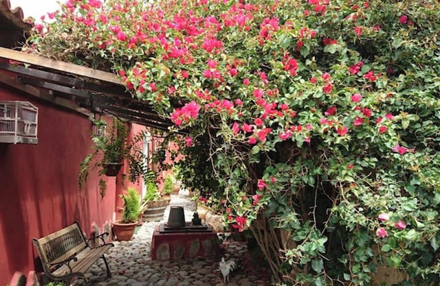 Homerez - House in La Sabinita