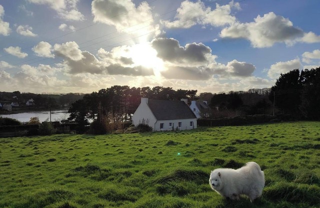 Homerez - Spacious Seaside House in Plouguerneau