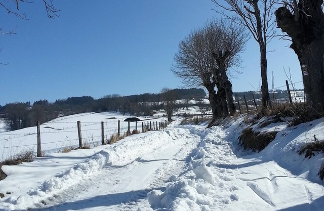 Homerez - Welcoming House in Sainte-Catherine with Garden