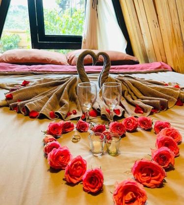 HoMestay ngôi nhà tam giác