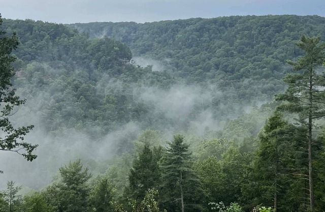Honeydew Cabin - Romantic, Sauna, Views, Hot Tub