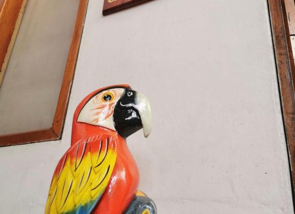 Hospedaje Casa Amazónica Iquitos