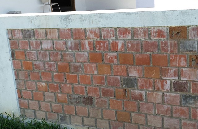 Hospedaje Colan Coconut a 50 m del mar en la playa La Esmeralda.