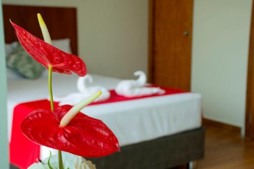 HOTEL LA PALMERA DE ORO