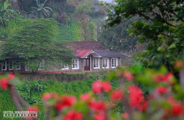 Hotel Serendib Hill