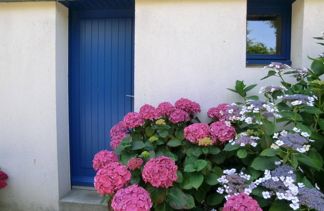 house 250 m harbor and beaches