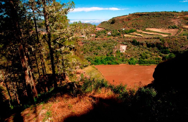 House Altos de Gáldar